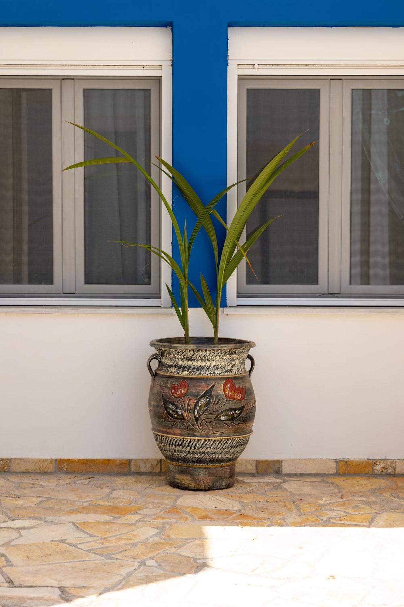 Stavrós Alexis Apartments מראה חיצוני תמונה