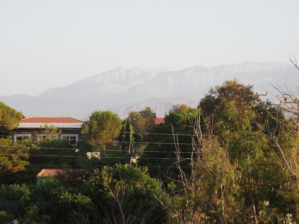Stavrós Alexis Apartments מראה חיצוני תמונה