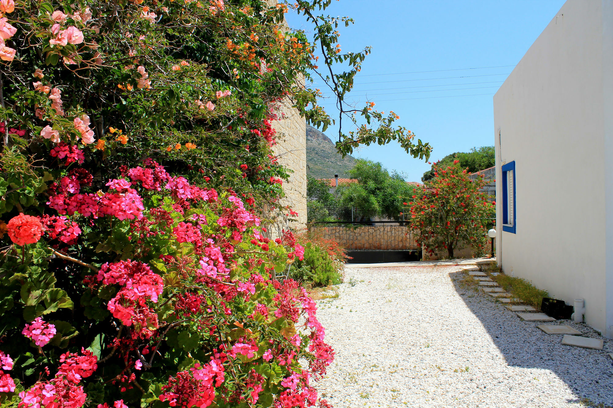 Stavrós Alexis Apartments מראה חיצוני תמונה