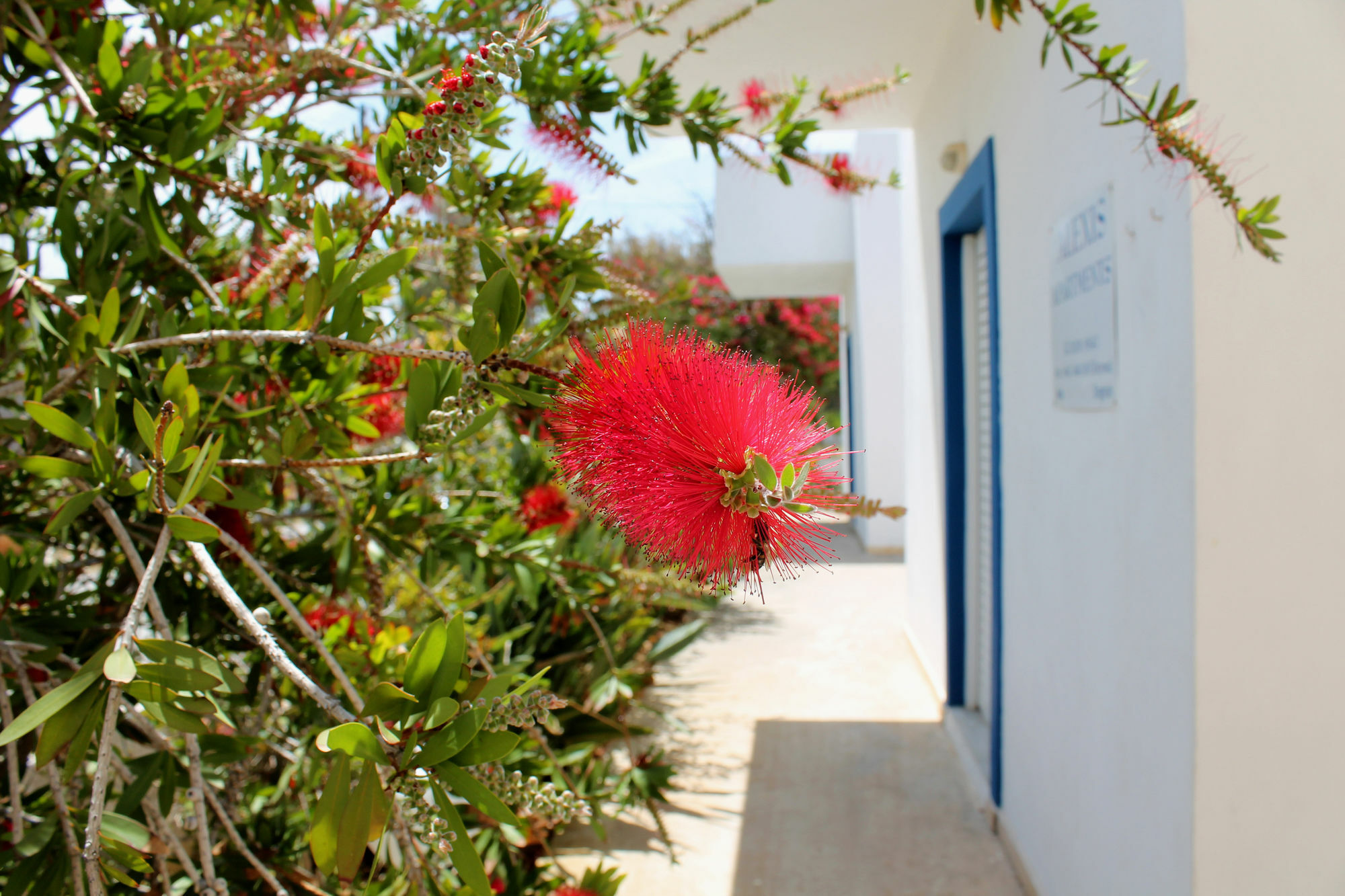 Stavrós Alexis Apartments מראה חיצוני תמונה